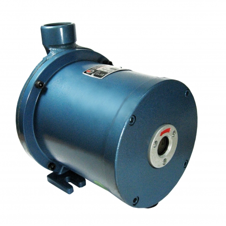 ELECTROBOMBA 15/1 CALEF. 220V PE