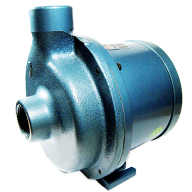 ELECTROBOMBA 10/2 CALEF. 220V PE