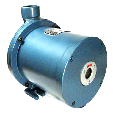 ELECTROBOMBA 15/1 CALEF. 220V PE